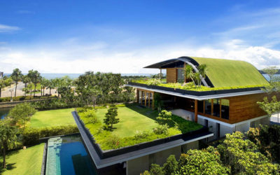 On the Real Estate Horizon – The Environmentally Friendly Home Market