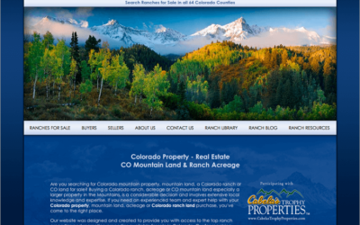 Effective Colorado Real Estate Websites – Constant Promotion For Visibility