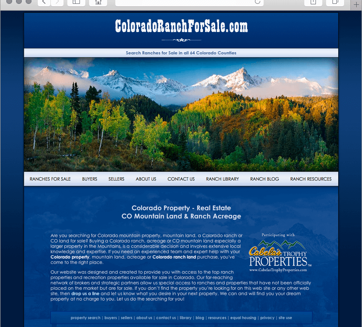 Effective Colorado Real Estate Websites – Constant Promotion For Visibility