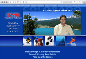 Successful Real Estate Website Design with Immediate Deal