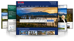 Real Estate Web Design