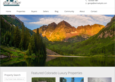 Denver Real Estate Agent Website