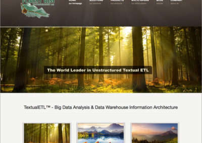 Big Data Mobile Responsive Website