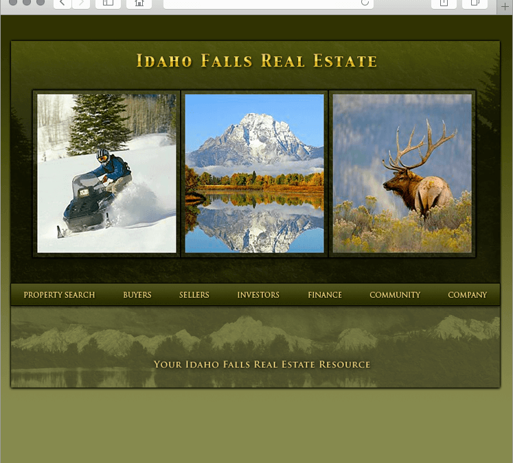 Idaho Real Estate Company Website Design