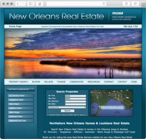 New Orleans Louisiana Real Estate Website Design