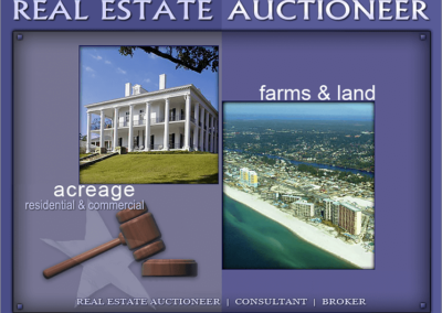 Real Estate Auctioneer Website Design