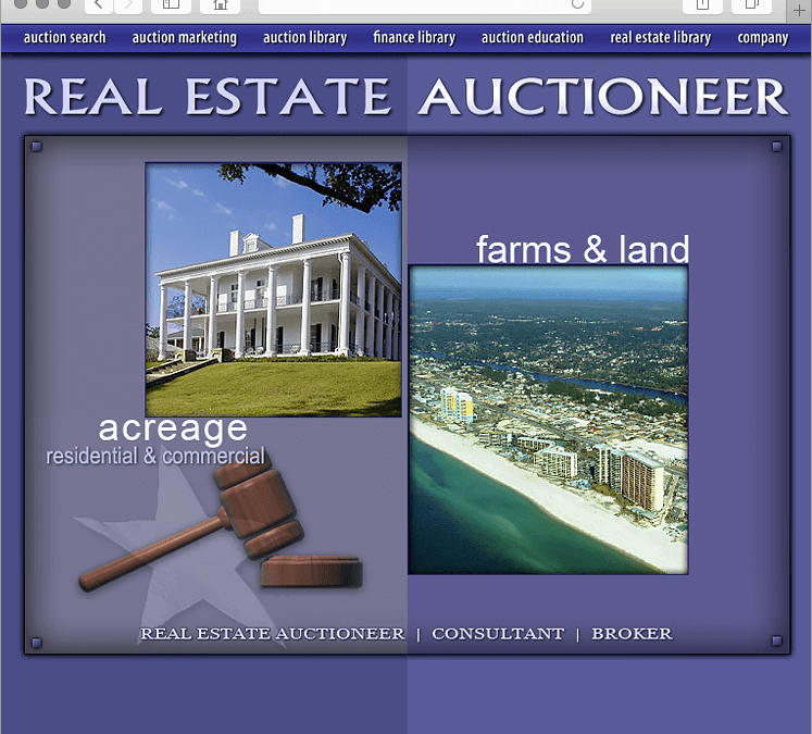 Real Estate Auctioneer Website Design