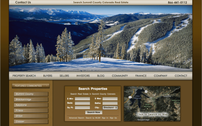 IMCD Unveils Ver 10 Real Estate Web Design