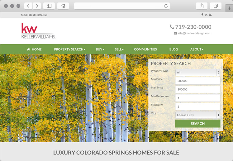 Colorado Springs Homes and Real Estate Website Design Search Widgets