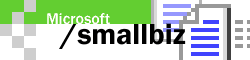 Microsoft Small Biz Website
