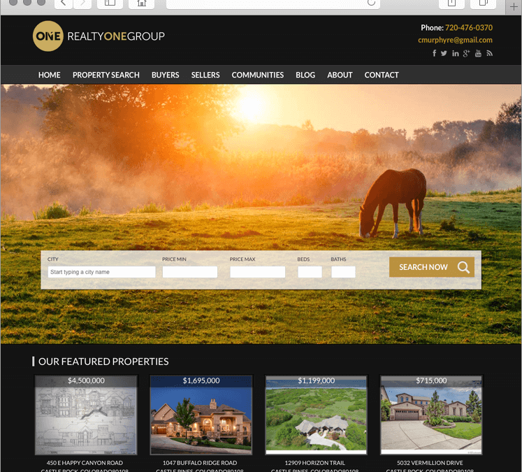 Parker Colorado Real Estate Agent Web Design