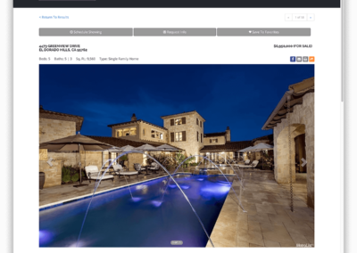 Custom Website Property Listing Detail Page