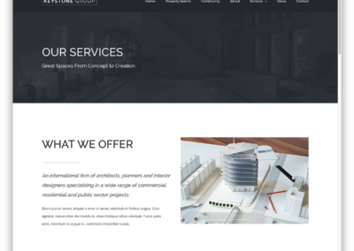 Custom Website Services Section